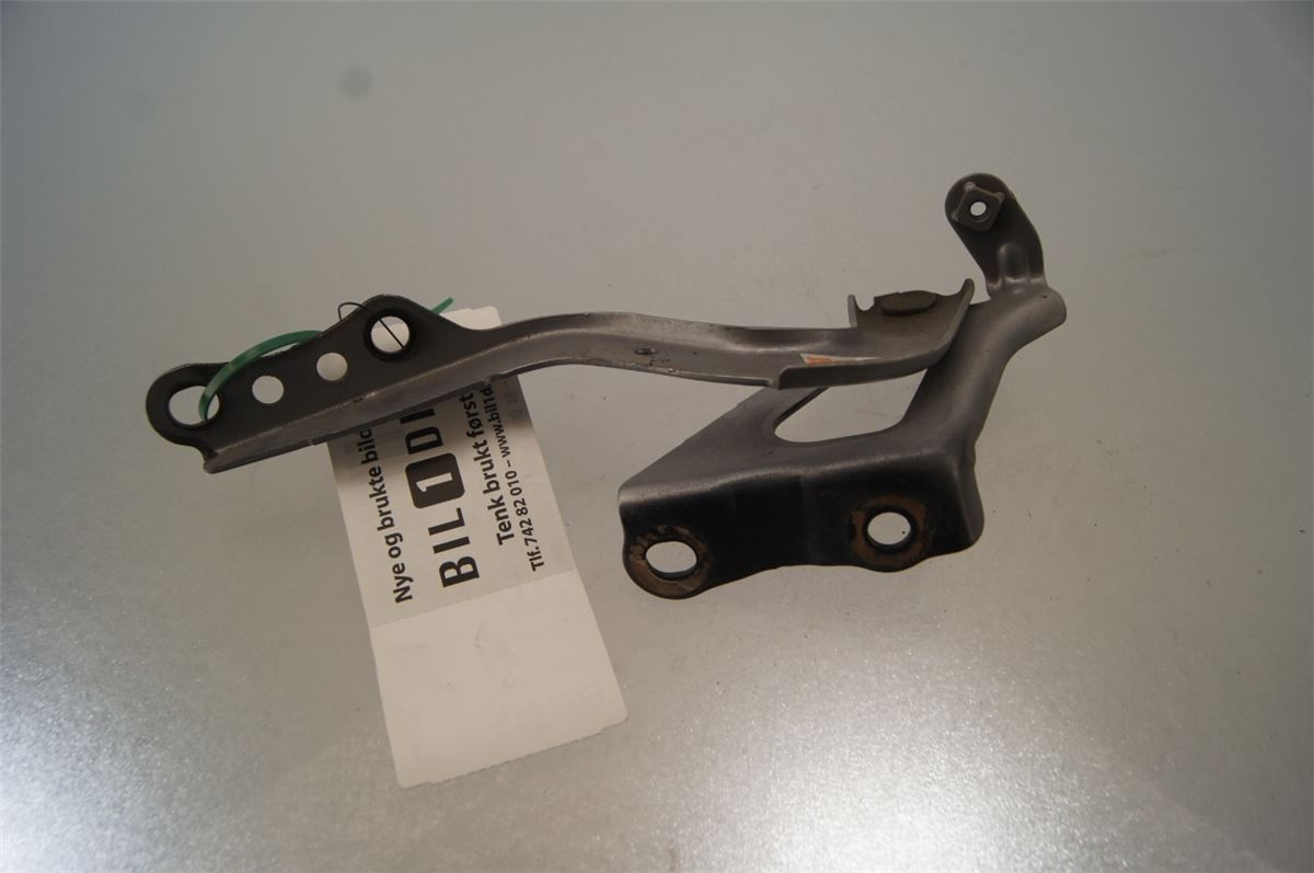Panser Hengsel / Hengsler – bilde 1