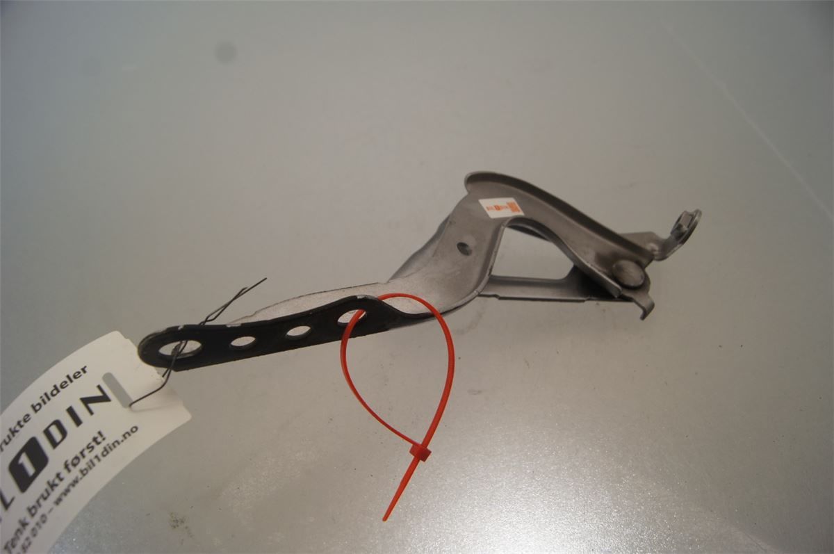 Panser Hengsel / Hengsler – bilde 1