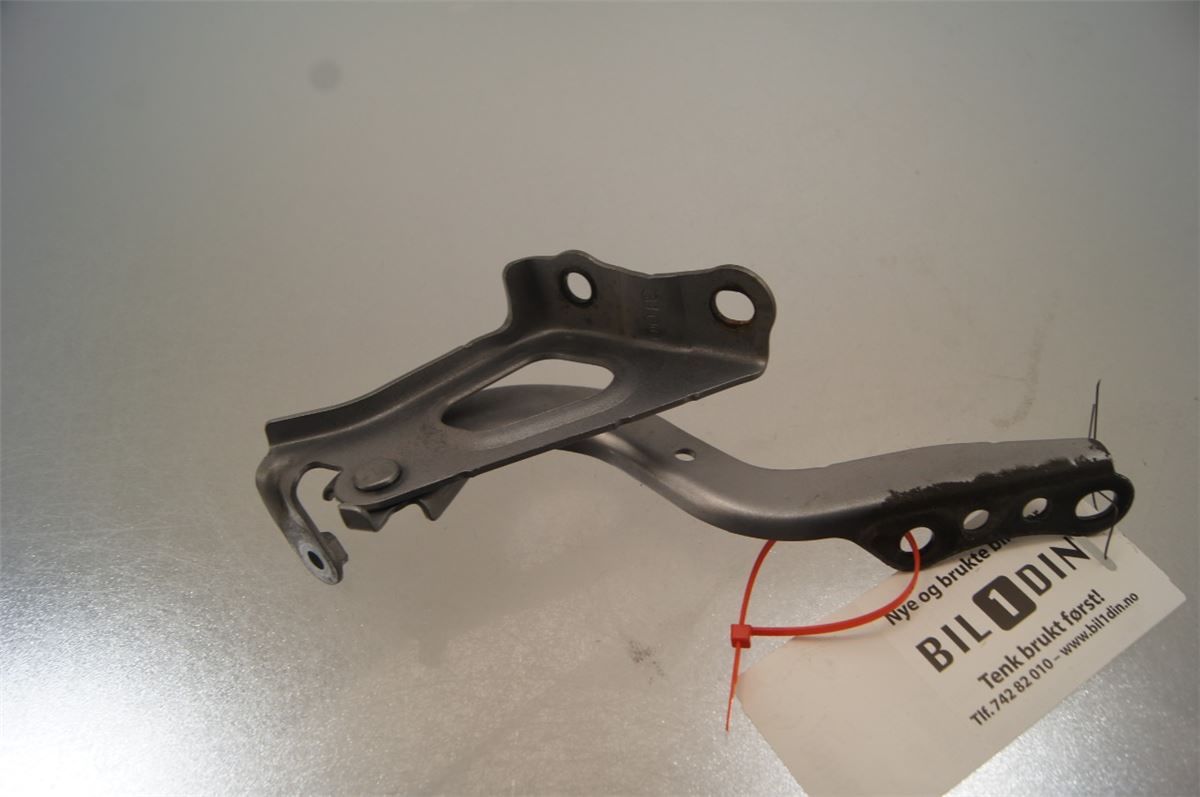 Panser Hengsel / Hengsler – bilde 2