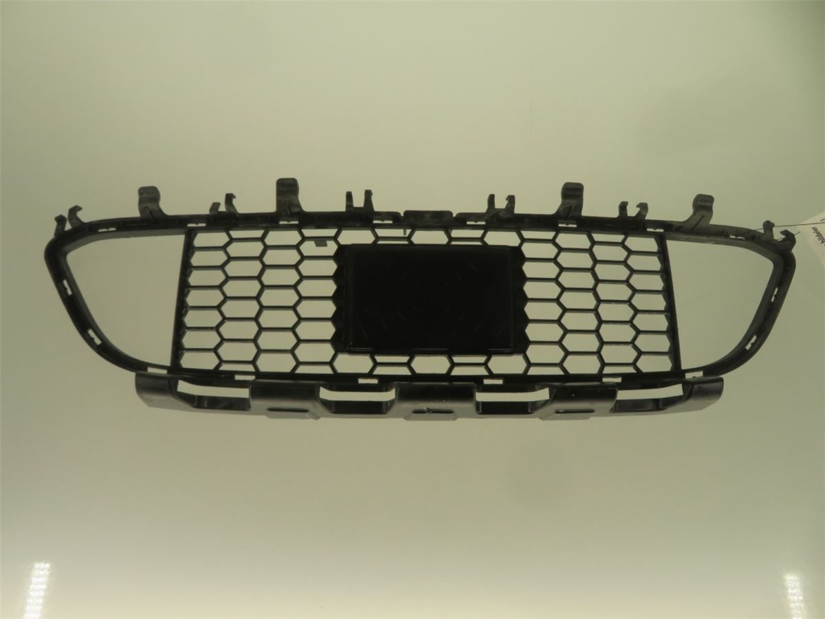 Grill / Gitter – bilde 1