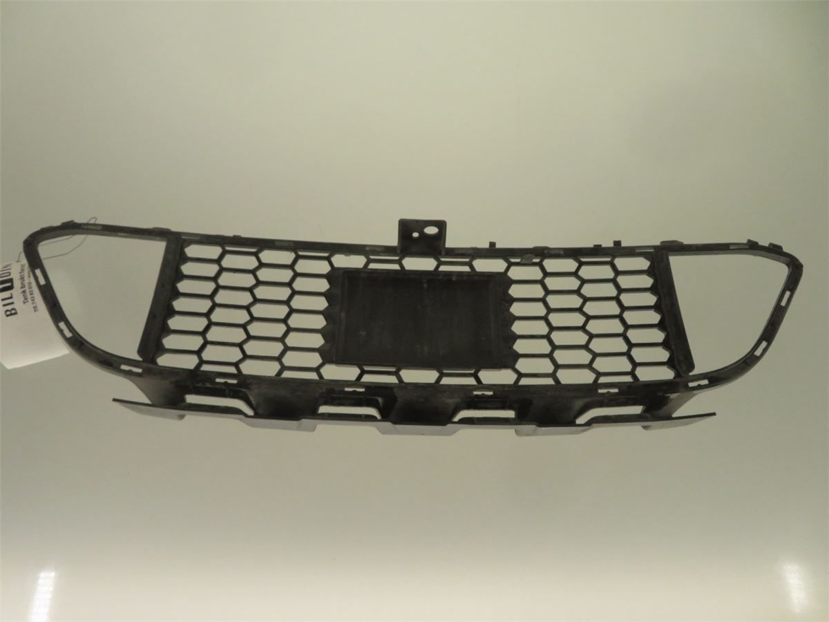 Grill / Gitter – bilde 3