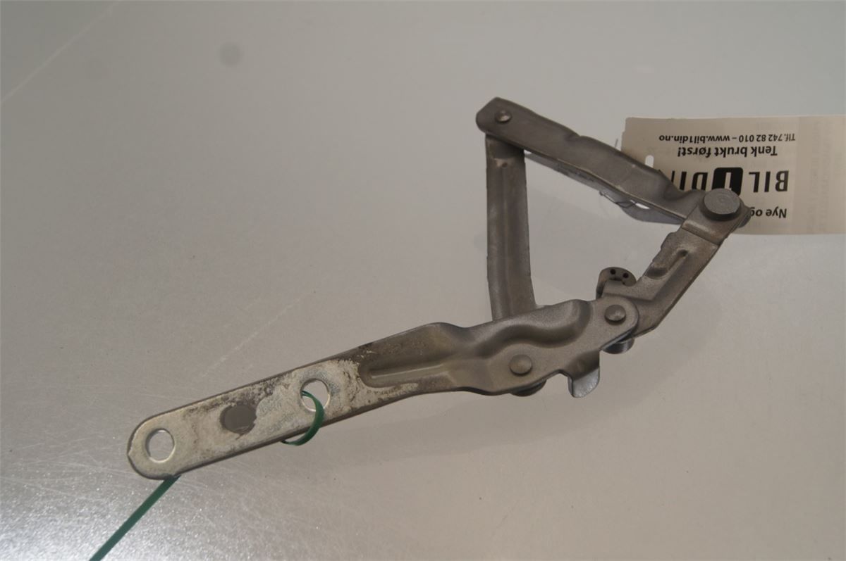 Panser Hengsel / Hengsler – bilde 2