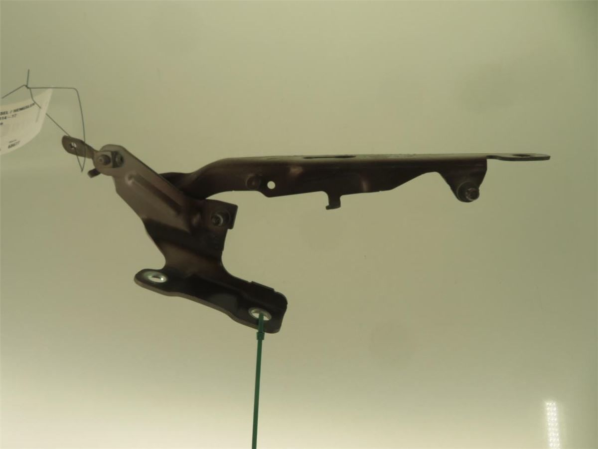 Panser Hengsel / Hengsler – bilde 1
