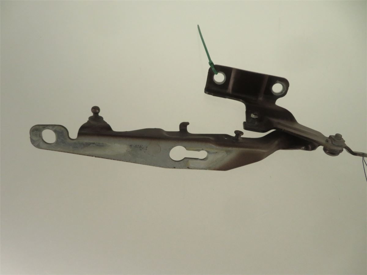 Panser Hengsel / Hengsler – bilde 2