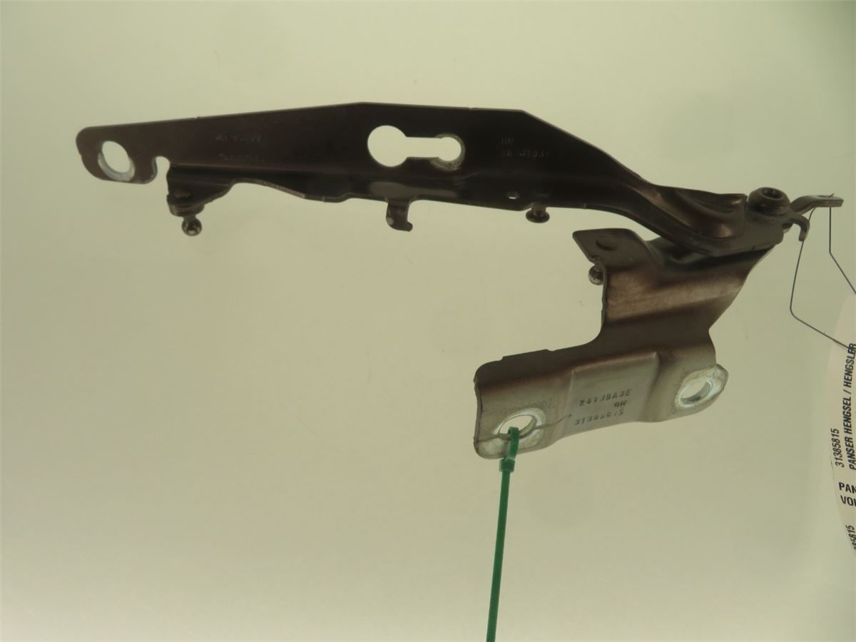 Panser Hengsel / Hengsler – bilde 3