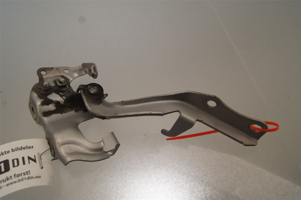 Panser Hengsel / Hengsler – bilde 1