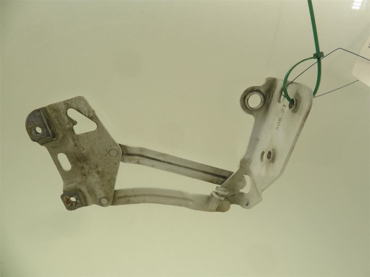 Panser Hengsel / Hengsler – bilde 1