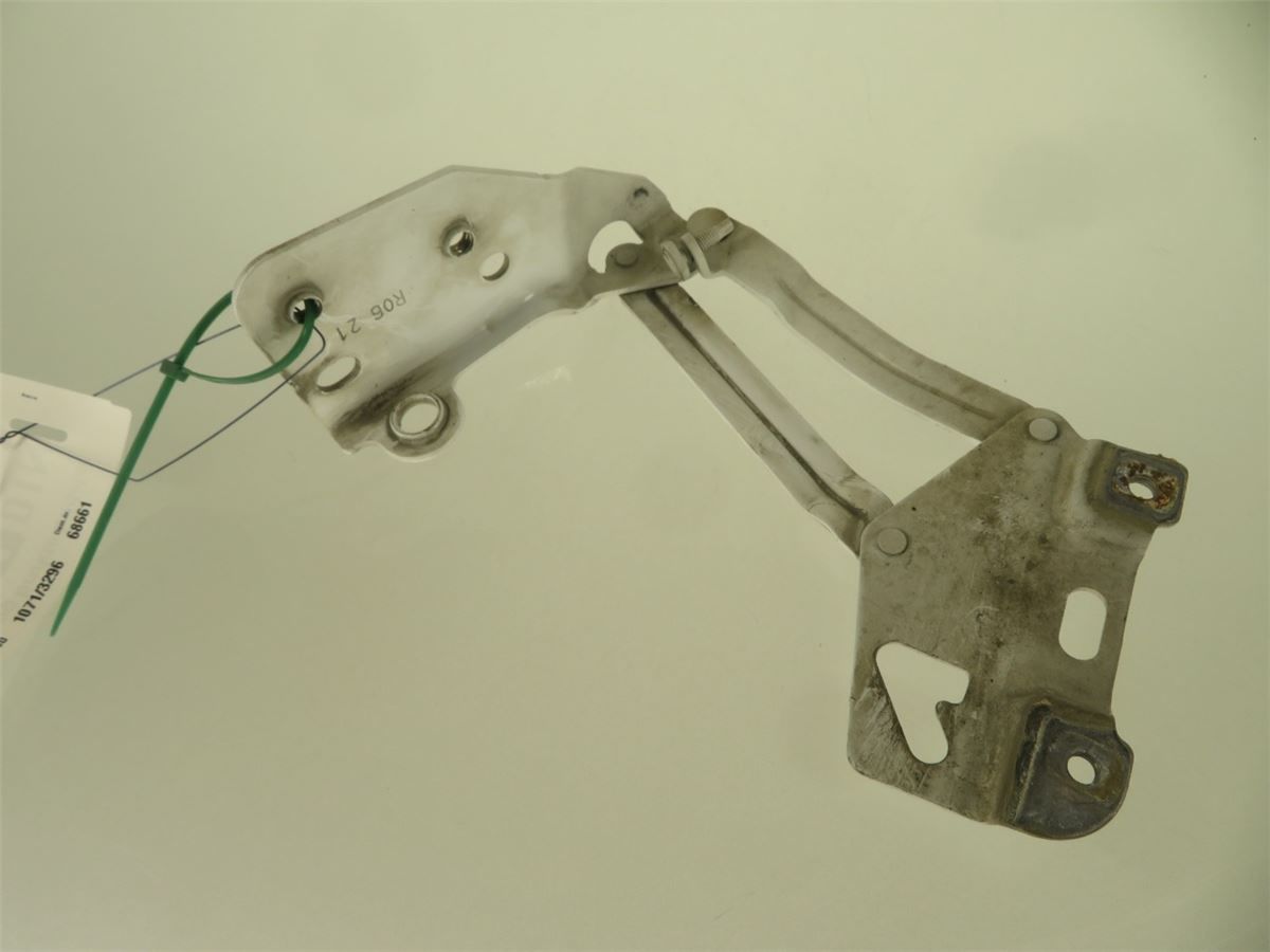 Panser Hengsel / Hengsler – bilde 2