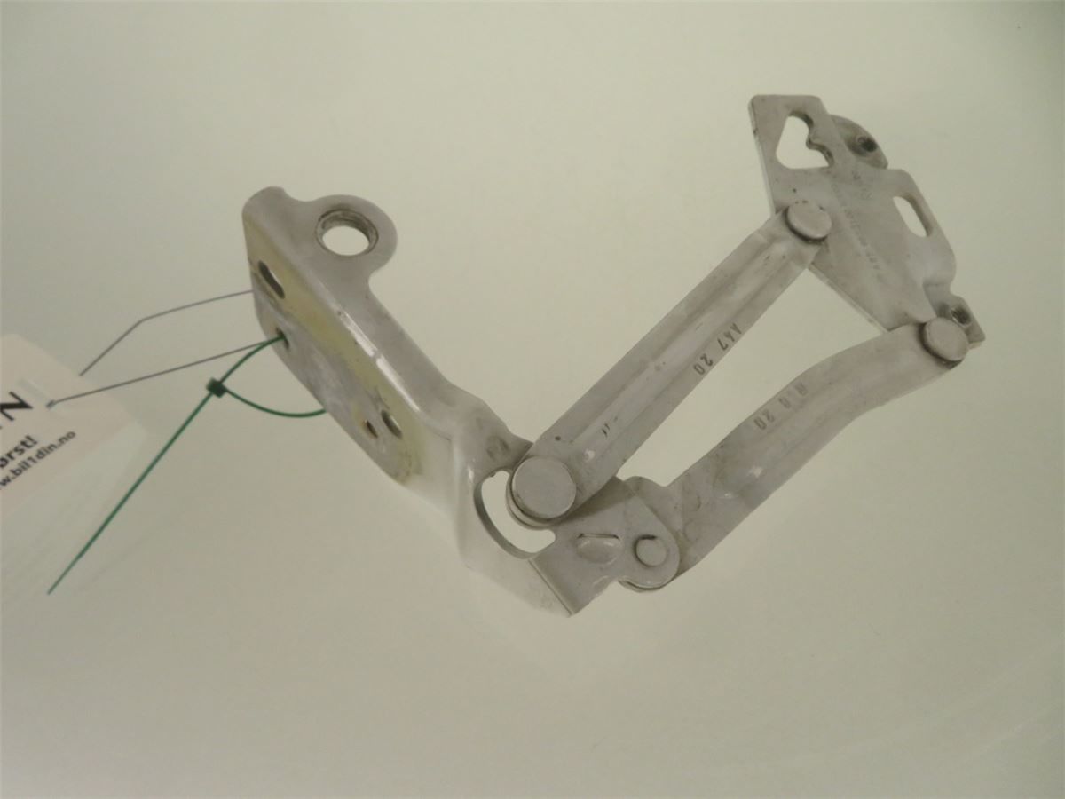 Panser Hengsel / Hengsler – bilde 3