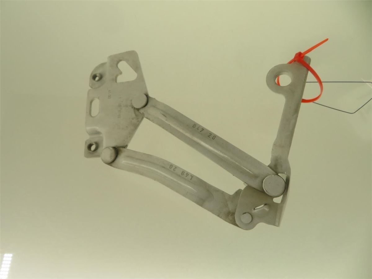 Panser Hengsel / Hengsler – bilde 1