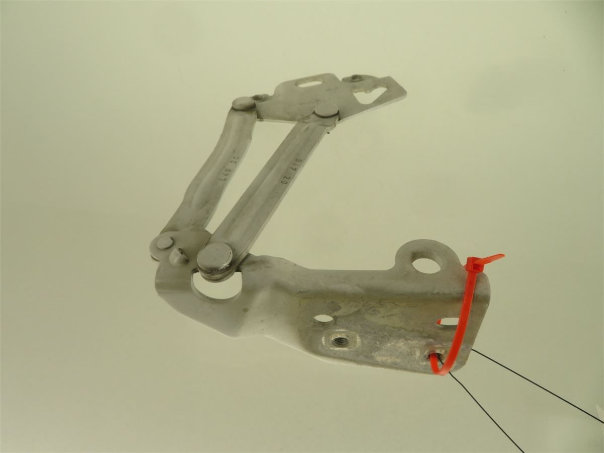 Panser Hengsel / Hengsler – bilde 2