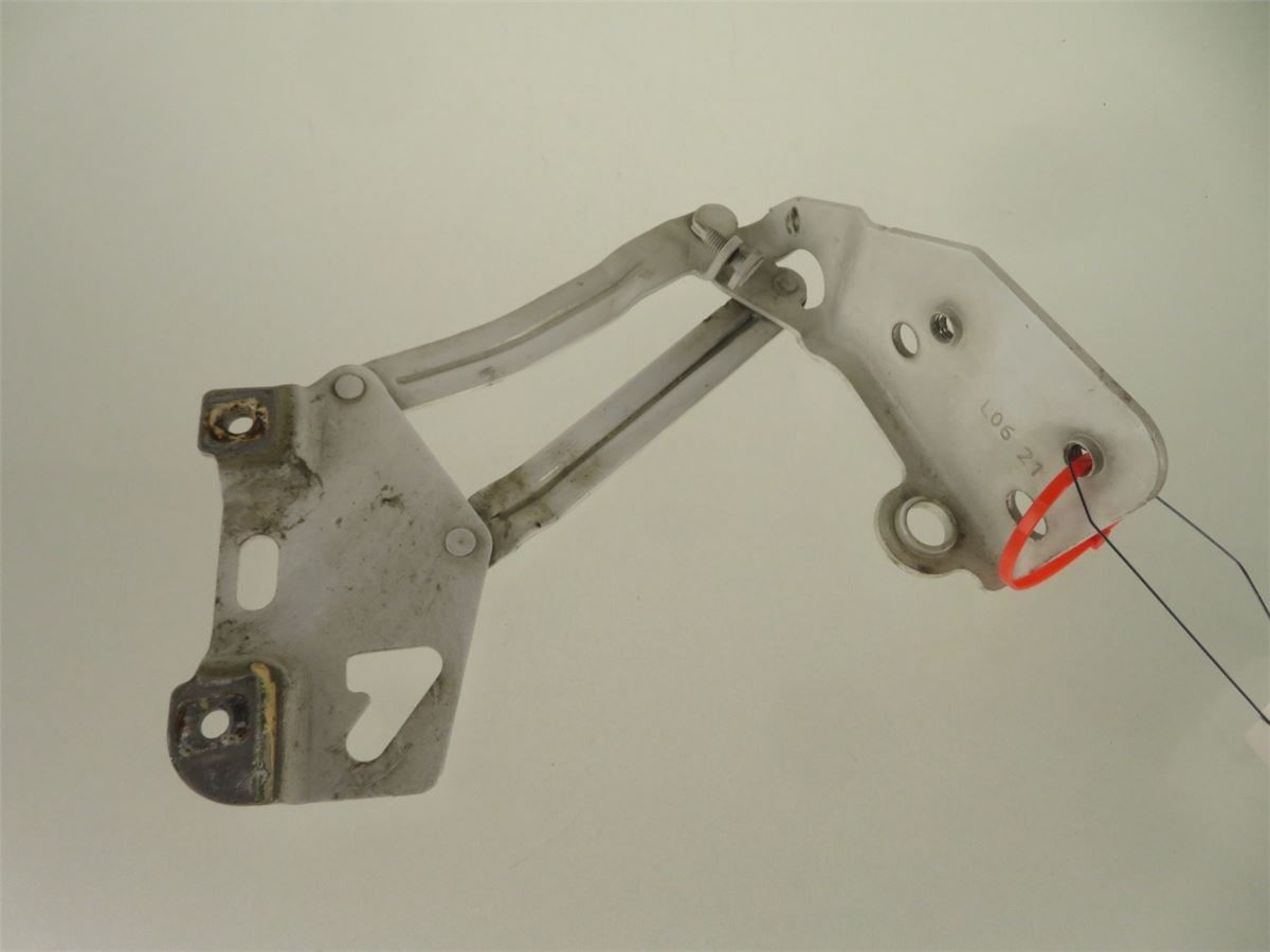 Panser Hengsel / Hengsler – bilde 3