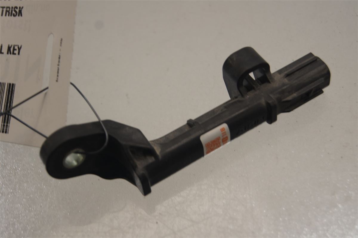 Antenn Elektrisk – bilde 1