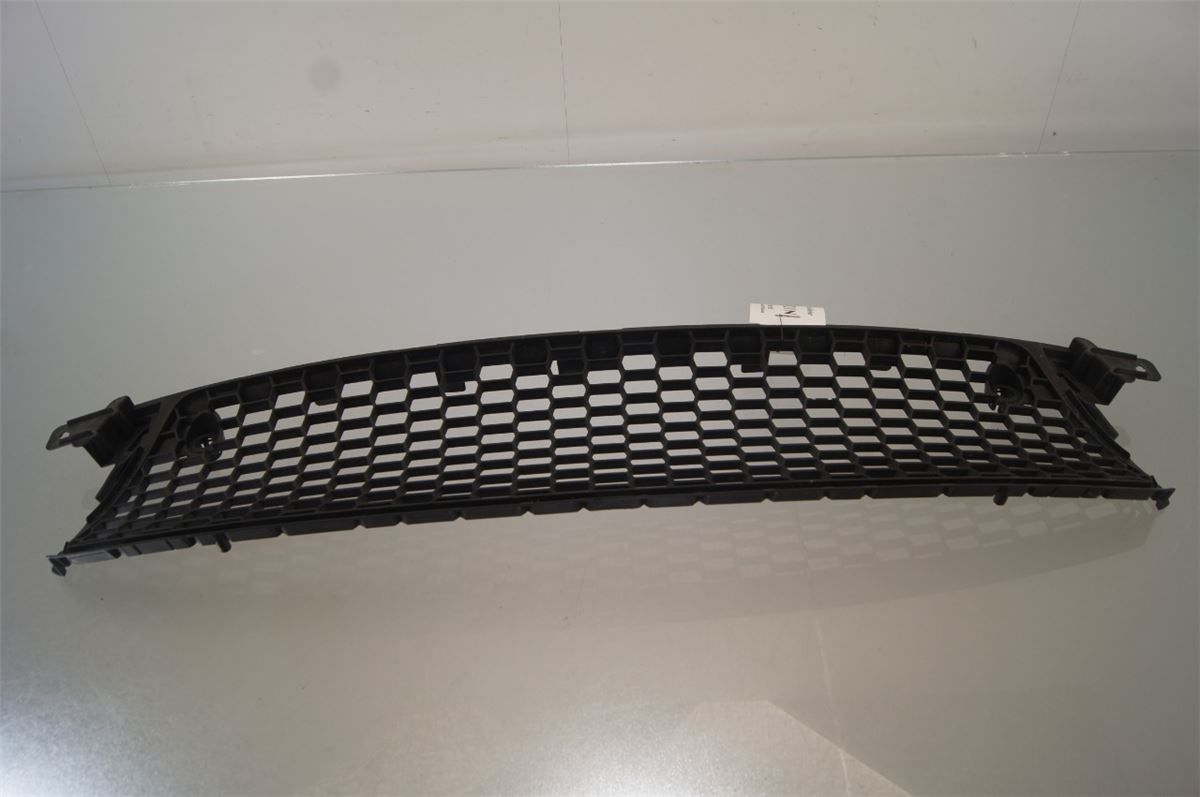 Grill / Gitter – bilde 1