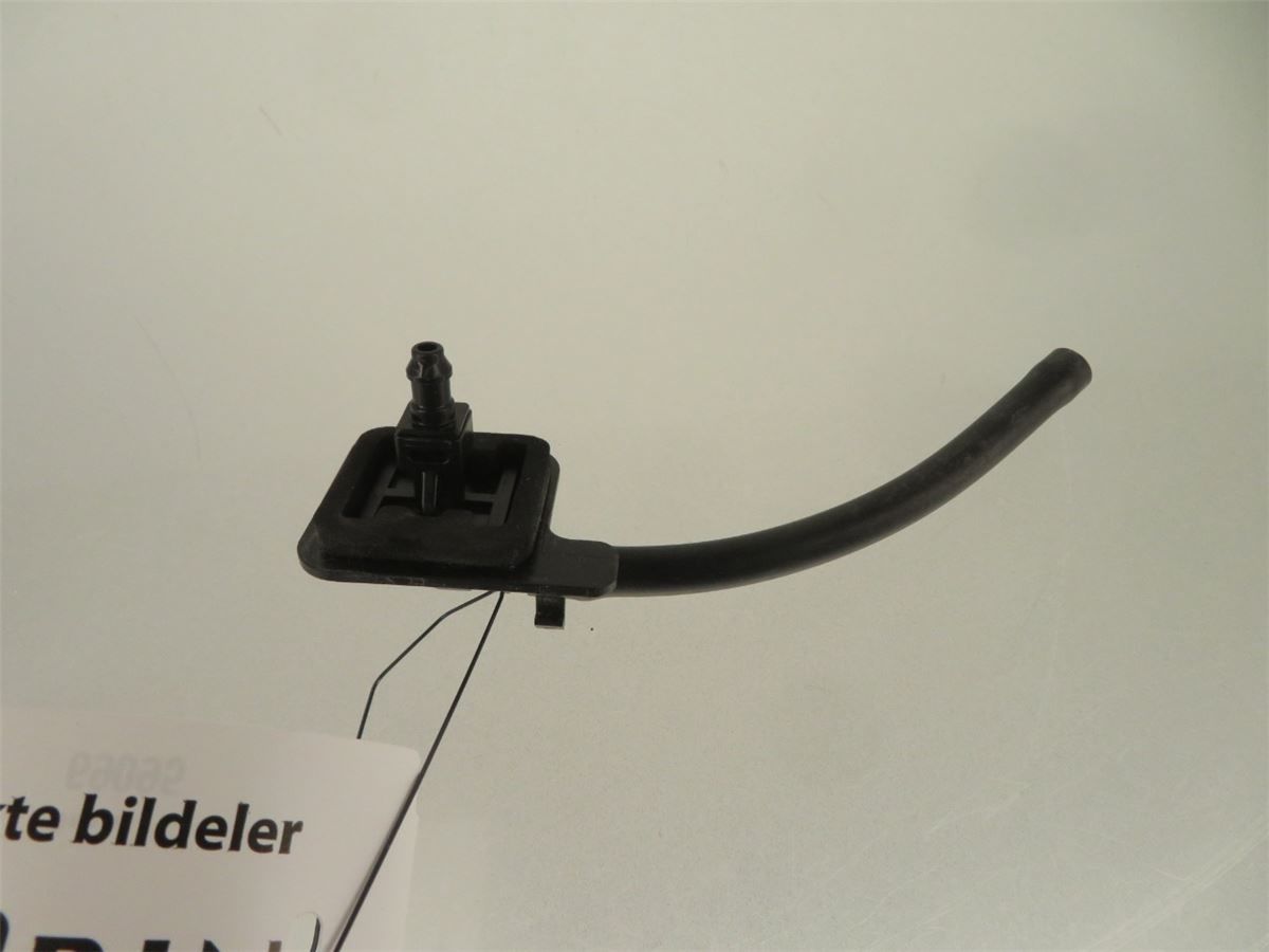 Spylerdyse Ruter – bilde 2