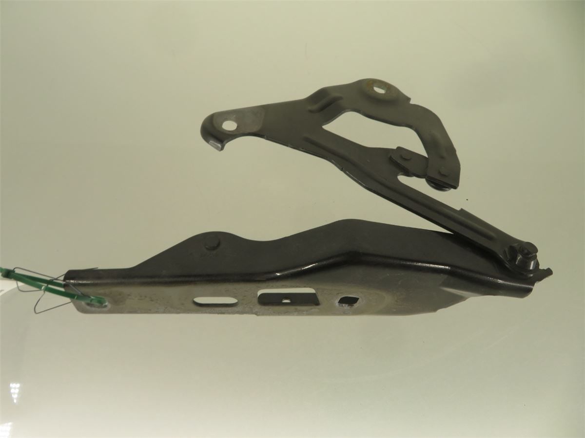Panser Hengsel / Hengsler – bilde 3