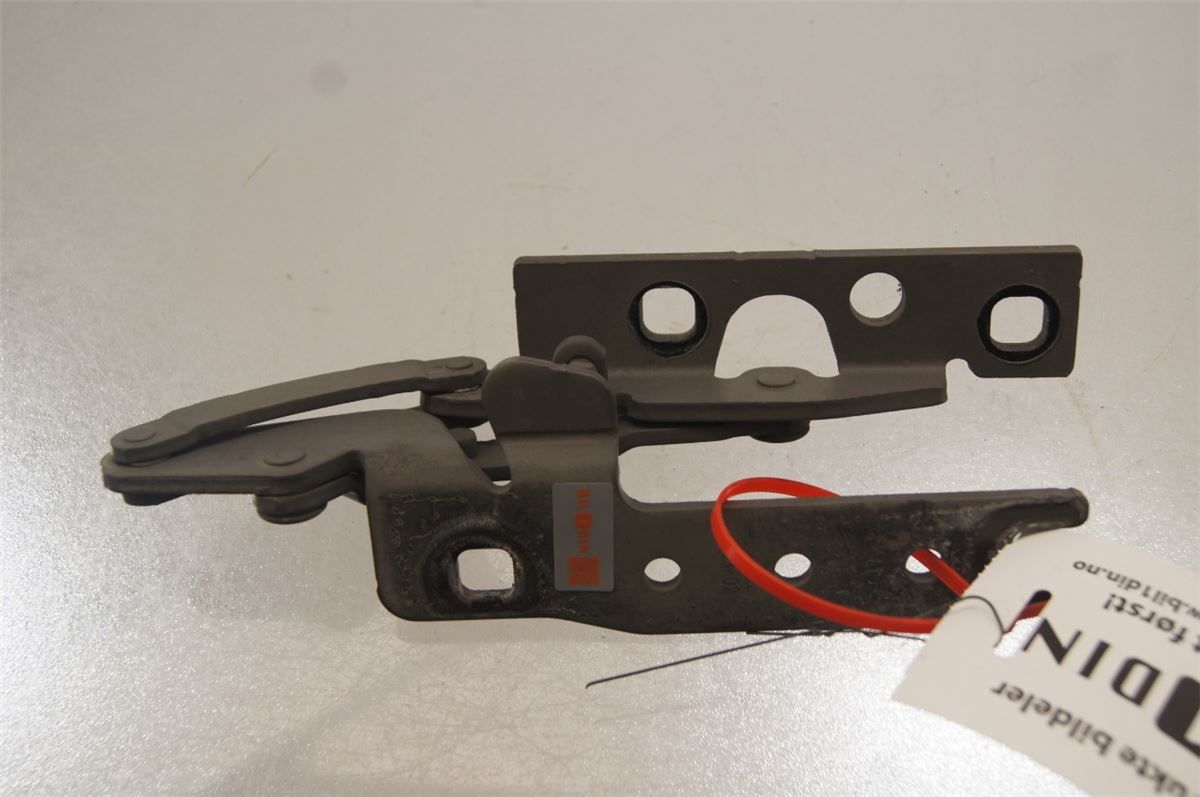 Panser Hengsel / Hengsler – bilde 1