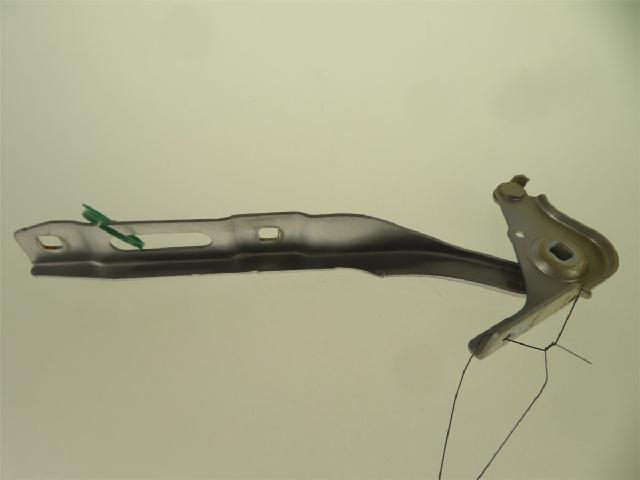 Panser Hengsel / Hengsler – bilde 1