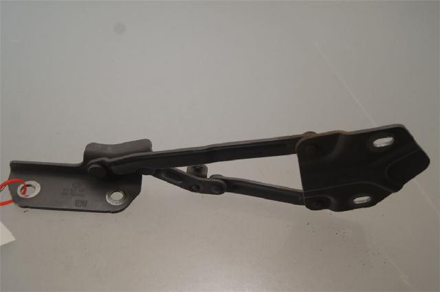 Panser Hengsel / Hengsler – bilde 1