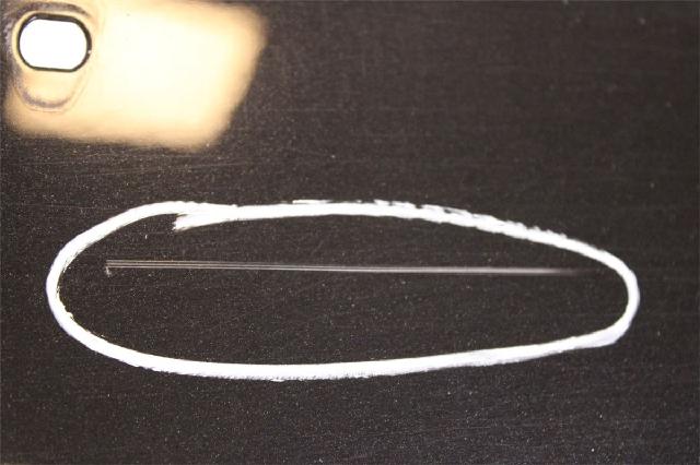 Panser – bilde 2