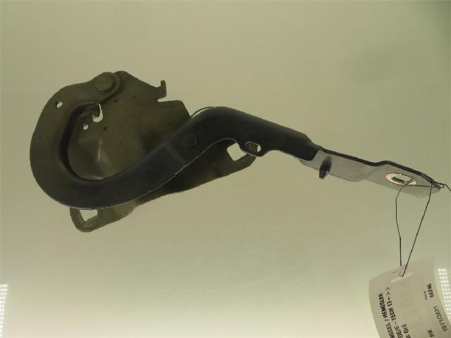 Panser Hengsel / Hengsler – bilde 1