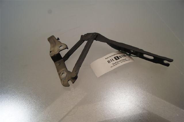 Panser Hengsel / Hengsler – bilde 2