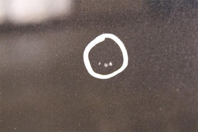 Panser – bilde 4
