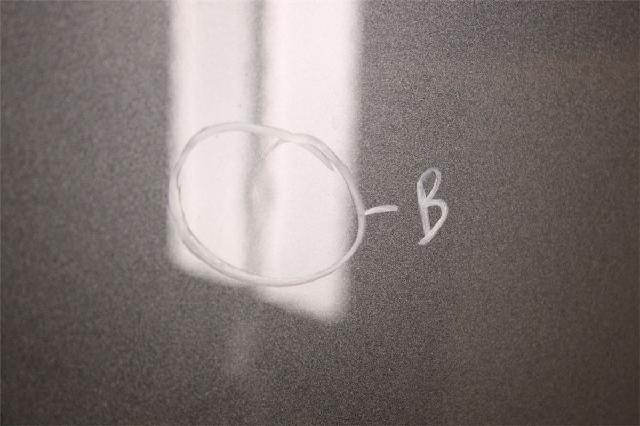 Panser – bilde 2