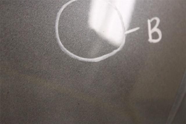 Panser – bilde 3