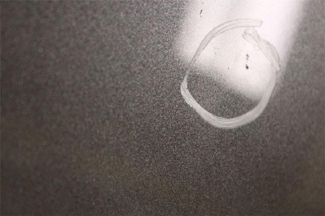 Panser – bilde 4