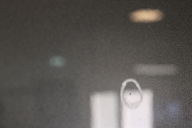 Panser – bilde 5