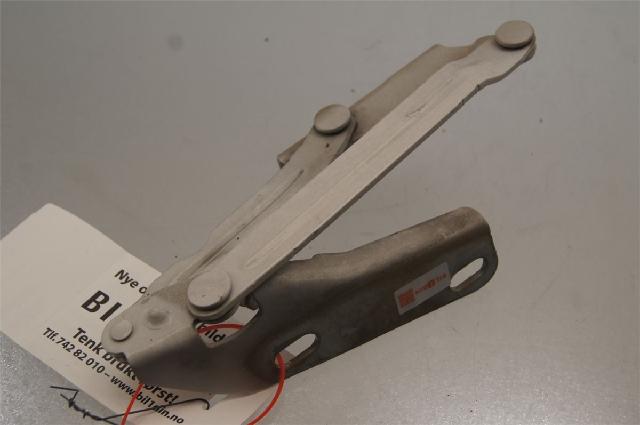 Panser Hengsel / Hengsler – bilde 2
