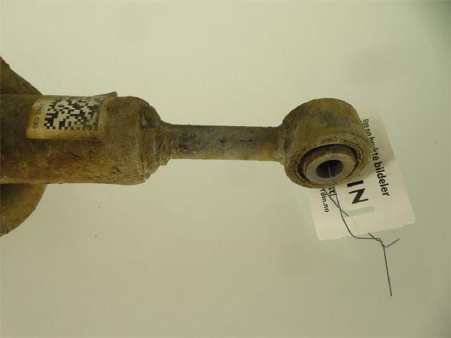 Fjærbein Foran Høyre – bilde 2