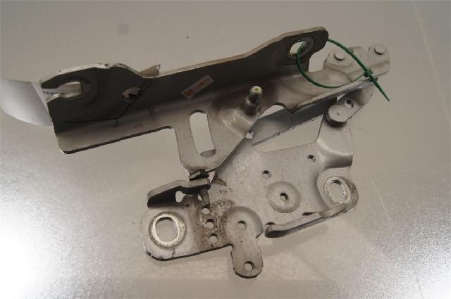 Panser Hengsel / Hengsler – bilde 1