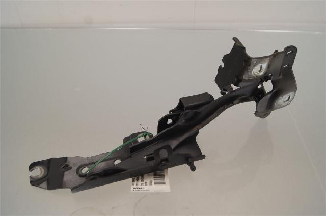Panser Hengsel / Hengsler – bilde 2