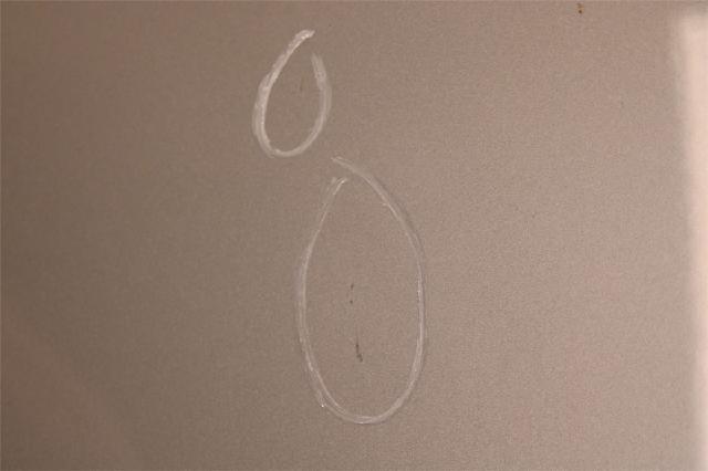 Panser – bilde 2
