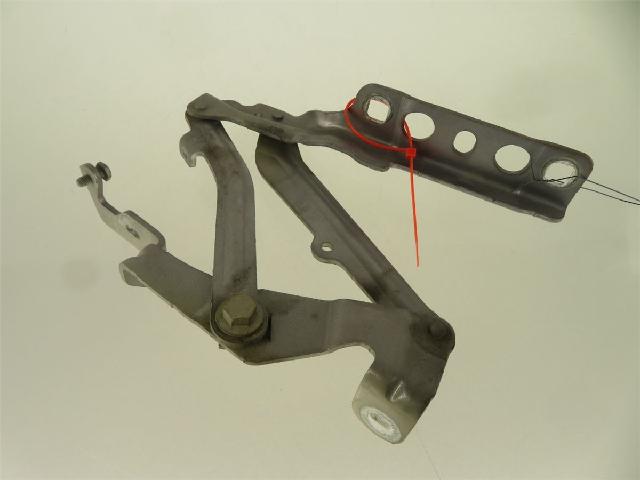 Panser Hengsel / Hengsler – bilde 1