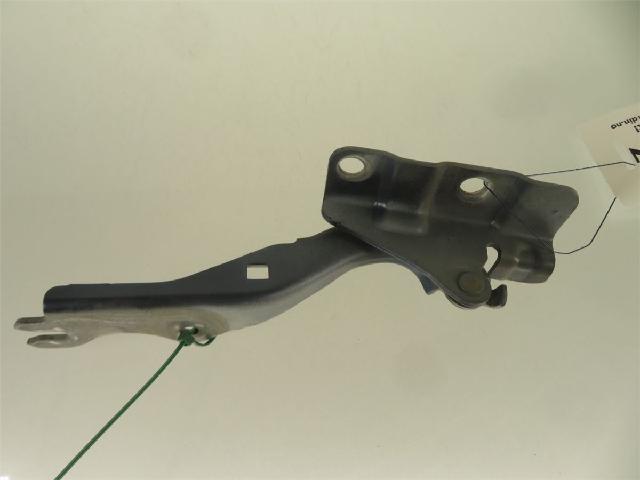 Panser Hengsel / Hengsler – bilde 2