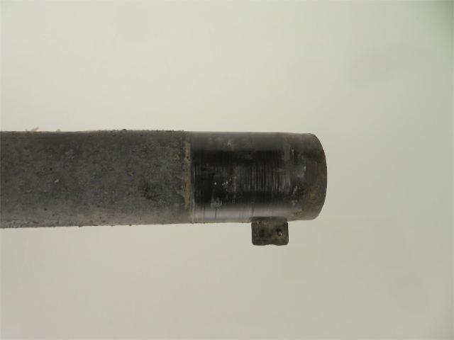 Fjærbein Foran Høyre – bilde 4