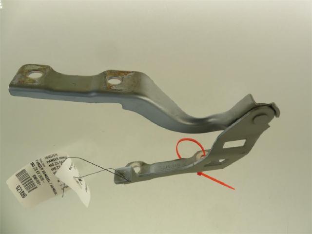 Panser Hengsel / Hengsler – bilde 2
