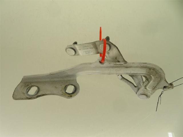 Panser Hengsel / Hengsler – bilde 1