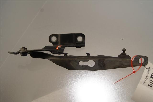 Panser Hengsel / Hengsler – bilde 1