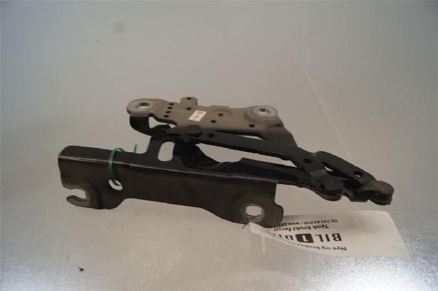 Panser Hengsel / Hengsler – bilde 2