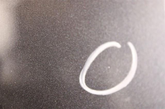 Panser – bilde 5