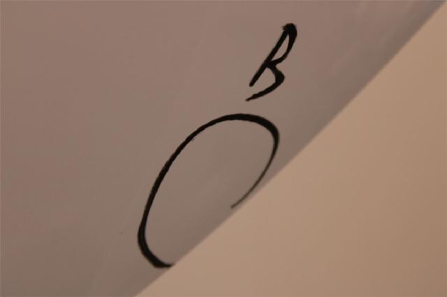 Panser – bilde 2