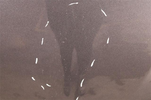 Panser – bilde 3