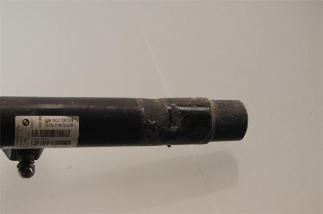 Fjærbein Foran Høyre – bilde 2
