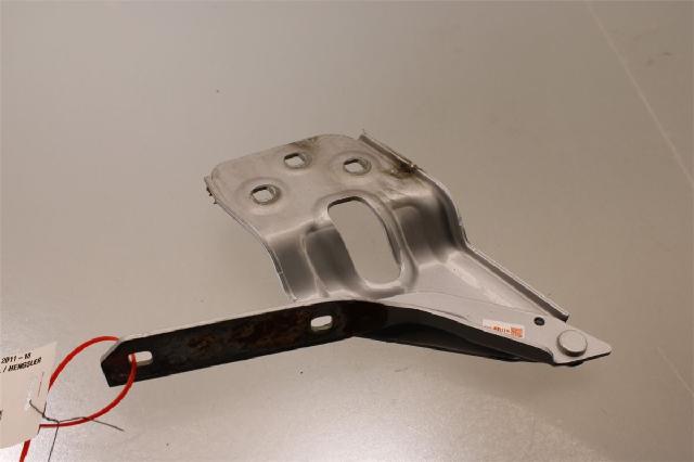Panser Hengsel / Hengsler – bilde 1
