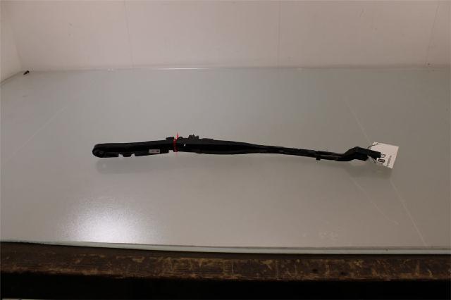 Viskerarm / Armer Frontrute – bilde 2