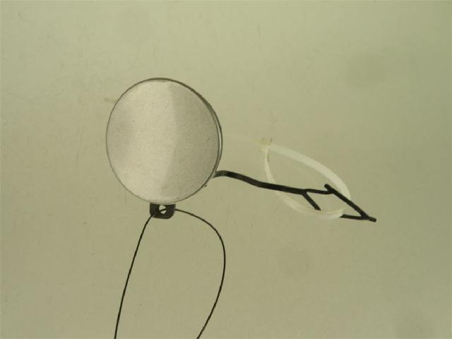 Slepeøye – bilde 1